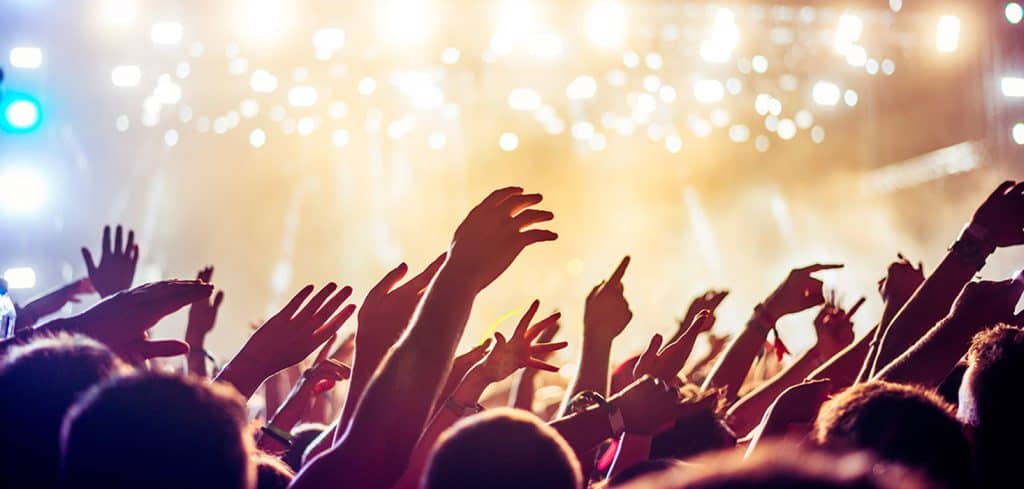Crowd at the music festival