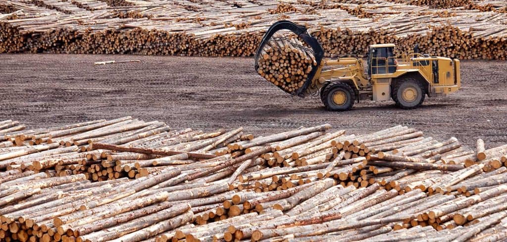 Large lumber mill