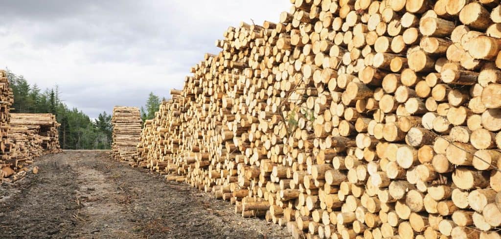 Sawmill in British Columbia, Canada