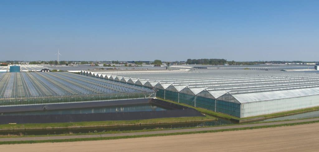 Commercial greenhouses bird's eye view photo