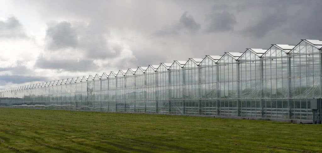 A row of greenhouses