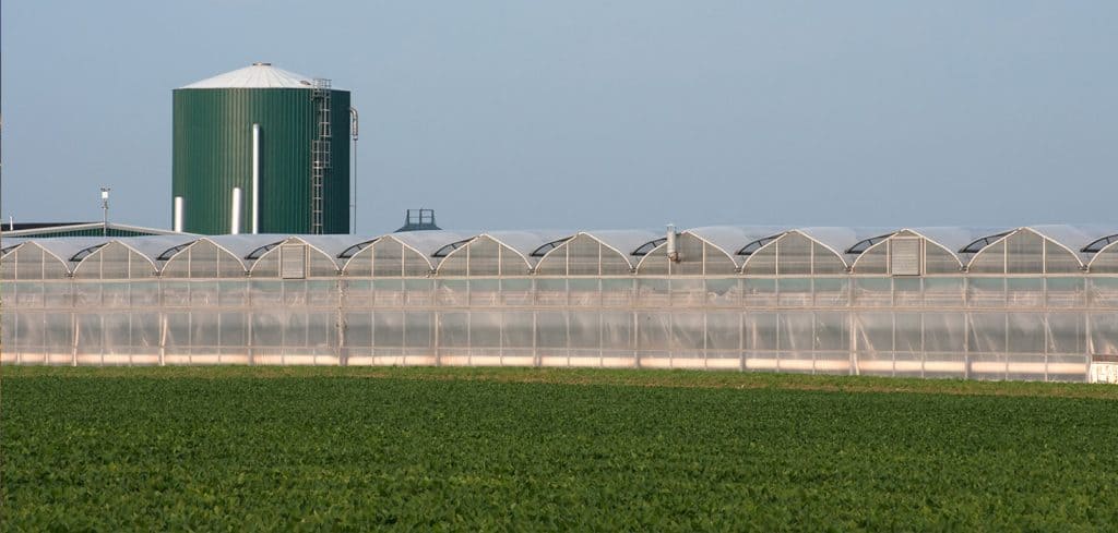 Greenhouse in a rural setting.