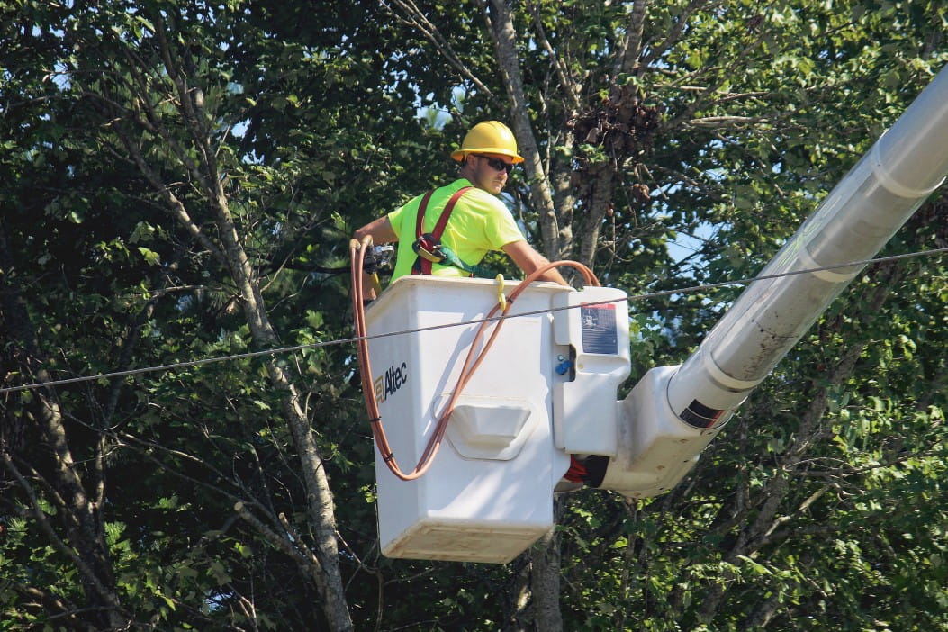 lineman in bucket lift trimming tree branches